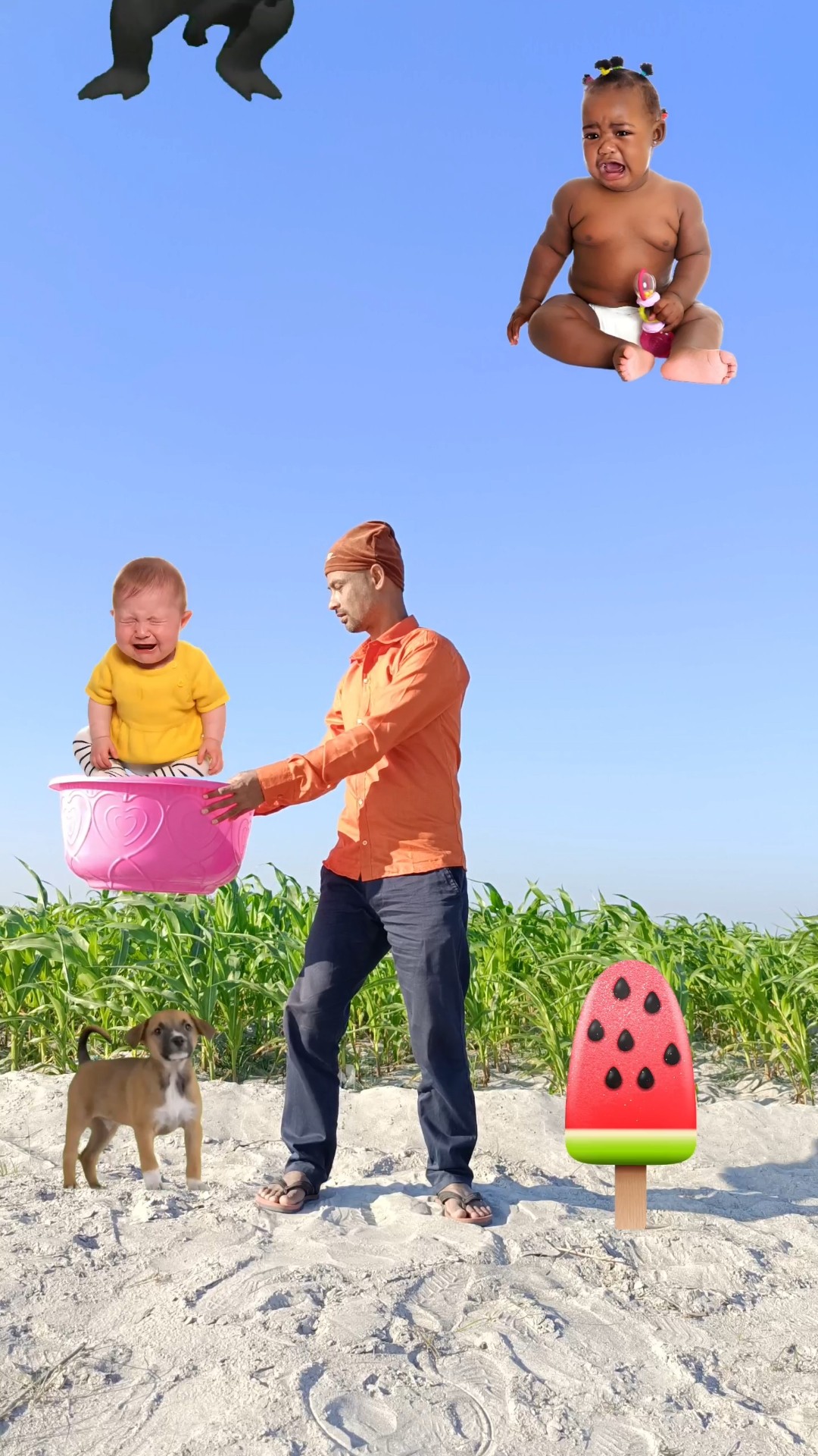 Flying crying babies Catching vs hen, parrot \u0026 puppy \u0026 yellow lizard- #funny #short